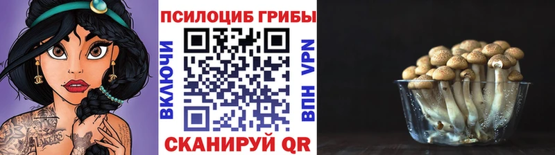 Галлюциногенные грибы прущие грибы Пущино